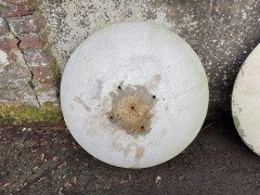 Willy Guhl for Eternit, 2 Pairs Mid- Century Modern Concrete Garden Dish Planters - Thumbnail 5