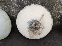 Willy Guhl for Eternit, 2 Pairs Mid- Century Modern Concrete Garden Dish Planters - Thumbnail 6