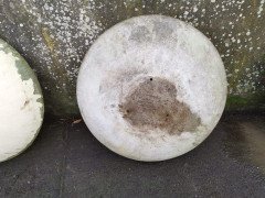Willy Guhl for Eternit, 2 Pairs Mid- Century Modern Concrete Garden Dish Planters - Thumbnail 7