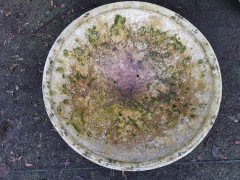 Willy Guhl for Eternit, 2 Pairs Mid- Century Modern Concrete Garden Dish Planters - Thumbnail 11