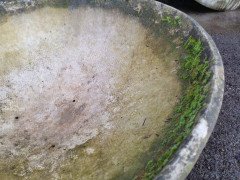 Willy Guhl for Eternit, 2 Pairs Mid- Century Modern Concrete Garden Dish Planters - Thumbnail 15