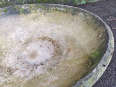 Willy Guhl for Eternit, 2 Pairs Mid- Century Modern Concrete Garden Dish Planters - Thumbnail 17