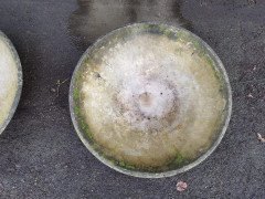 Willy Guhl for Eternit, 2 Pairs Mid- Century Modern Concrete Garden Dish Planters - Thumbnail 20