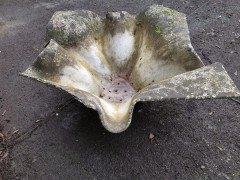 Willy Guhl for Eternit Large Handkerchief Elephant Ear Planter with Loss to Edge - Thumbnail 2