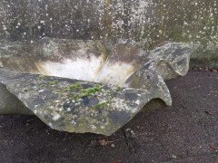 Willy Guhl for Eternit Large Handkerchief Elephant Ear Planter with Loss to Edge - Thumbnail 7
