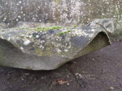 Willy Guhl for Eternit Large Handkerchief Elephant Ear Planter with Loss to Edge - Thumbnail 8