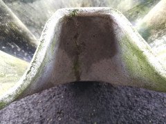 Willy Guhl for Eternit Large Handkerchief Elephant Ear Planter with Loss to Edge - Thumbnail 11