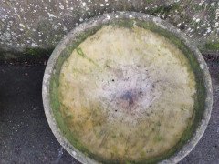 Willy Guhl for Eternit, Mint Pair of Mid- Century Modern Concrete Garden Planters - Thumbnail 9