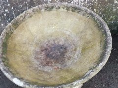 Willy Guhl for Eternit, Mint Pair of Mid- Century Modern Concrete Garden Planters - Thumbnail 11