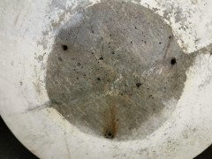 Willy Guhl for Eternit, Mint Pair of Mid- Century Modern Concrete Garden Planters - Thumbnail 14