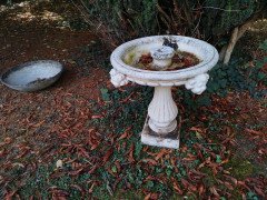 Pair of French Cast Concrete Garden Fountains with Medieval Heads to the Basins - Thumbnail 7