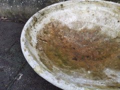Willy Guhl for Eternit, a Mid- Century Modern Concrete Garden Planter with Stand - Thumbnail 11