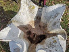 Willy Guhl for Eternit, Mid-Century Modern Concrete Garden Handkerchief Planter - Thumbnail 17
