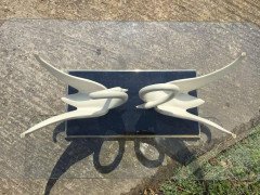 Rare Coffee Table by Maison Jansen with White Composite Swans with Glass Top - Thumbnail 6