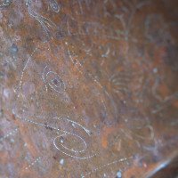 Arts and Crafts – Copper Tray with Swimming Fish and Wavy Edges (c.1910) - Thumbnail 6