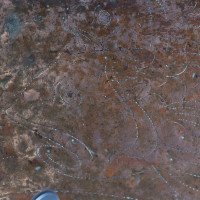 Arts and Crafts – Copper Tray with Swimming Fish and Wavy Edges (c.1910) - Thumbnail 5