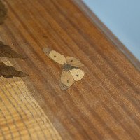 Emile Galle. An Art Nouveau Walnut Writing Desk with Exceptional Inlaid Scenery - Thumbnail 32