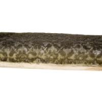 A. W. N Pugin & Sir Charles Barry, an Important Gothic Revival Oak Library Table - Thumbnail 14