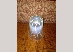 Collection of four Vaseline shade with vein detailing - Thumbnail 9