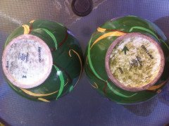 A good rare pair of Foley Intarsio vases, hand decorated with vivid swirling Iris's on a rich green back ground - Thumbnail 16